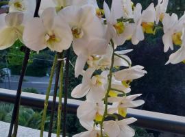 Alloggio Orchidea: Monfalcone'de bir otel