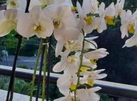 Alloggio Orchidea