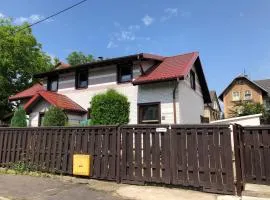 Apartamenty 5 i 6 w Karkonoszach