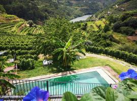 Quinta Barqueiros D'Ouro - Casa da Música – hotel w mieście Mesão Frio