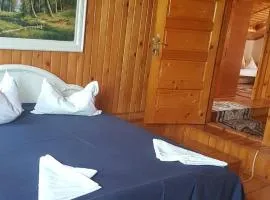 Cazare de vis