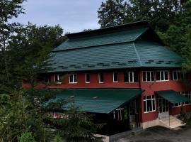 Pensiunea Dealu Hera, Hotel in Rona de Sus