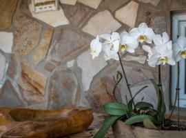 Ferienwohnung Insel Reichenau, hotel que aceita pets em Rheinstra&szlig;e