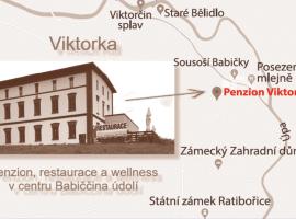 Penzion Viktorka, hotel v destinaci Zlíč