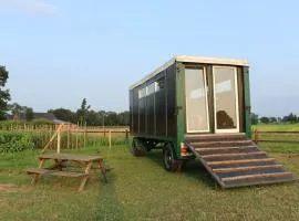 Slapen tussen de paarden