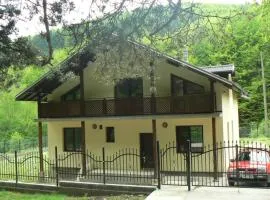 Nordic Villa Chiflika