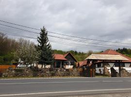 Pensiunea San Pio Sabisa, hotel v destinaci Săbişa