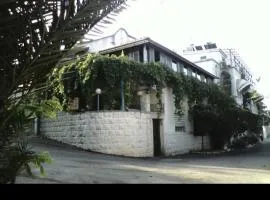 Shalom Inn wolfinger