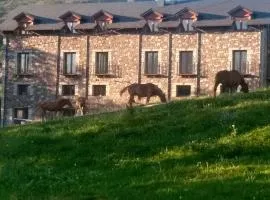 Apartamentos terapéuticos Fio de Neu con jardín, gimnasio, barbacoa