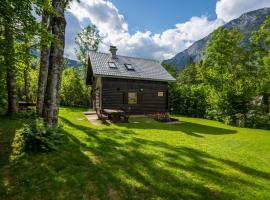 Chalet TISA, brunarica v Bohinju