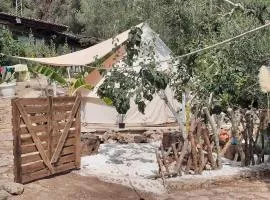Farm Glamping tent on Acquaviva Bay
