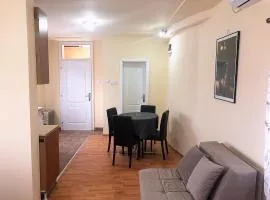 Apartman Sasa