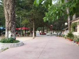 Hamiti Camping Center