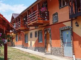 Pensiunea Simone, hotel v destinaci Cîrţişoara