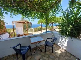 Beautiful house located on a hill with a spectacular sea view in Samos Island