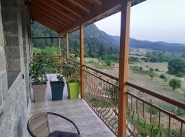 Vila Dodo, hotel v destinaci Leskovik