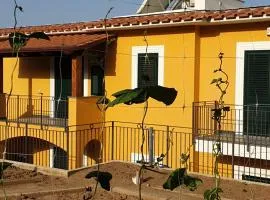 Casa Vacanze Il Frutteto