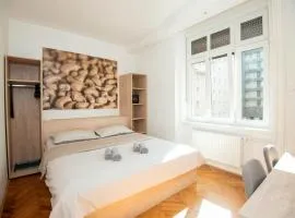 Viva Rooms