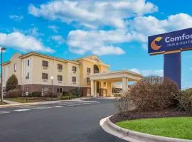 Comfort Inn & Suites Brevard North