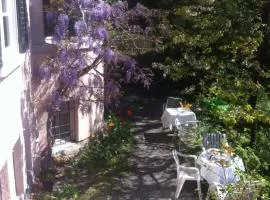 Garden Studio Apartment Zürichberg