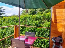 Lodge avec vue panoramique, maison de vacances à Saint-Sorlin