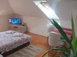Apartment Loft