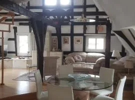 Penthouse Ferienwohnung Boppard Zentrum, sonnige Dachterrasse