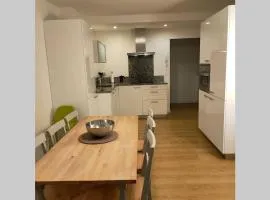 Bonito piso Ribadesella VUT2938AS