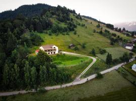 Pensiunea Magura, hotell i Măgura