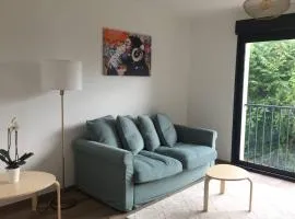 Superbe appartement avec vue sur la tour Eiffel