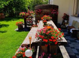 Aquarell Apartments, cottage in Saas-Grund