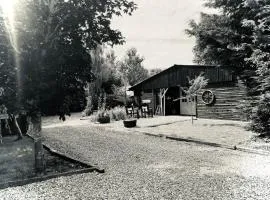 Alfie Acres - Secluded Cabin set in 5 Acres of Privacy, with Exclusive use of Swimming Pool and Hot Tub for up to 10 Guests