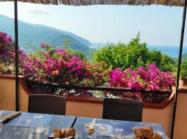 Casa de rosa, hotel v destinaci Palinuro