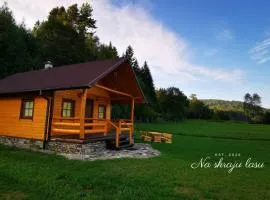 Bieszczady Domek "Na skraju Lasu"