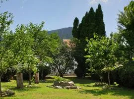 La Cuib