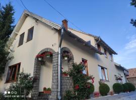 Rita Vendégház, homestay in Ciumani