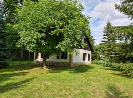 Domek w Lesie Bory Tucholskie, cabaña o casa de campo en Jeżewo