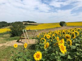 les gîtes d'en Julio, hotell i Puylaurens