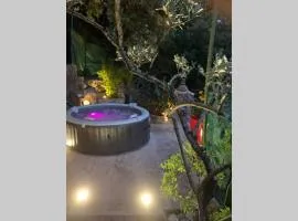 Les clapiers appartement avec jacuzzi et rivière.