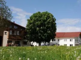 Ferienhof Hopfgärtle Müller