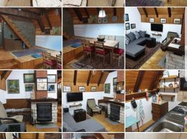 Vila Teodor, hotel in Kopaonik