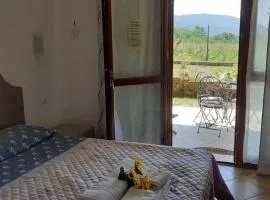 B&B Il Pizzagiallo
