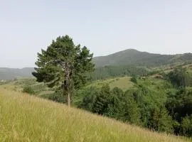 Laki Marjanovic