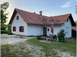 Živahna hiša