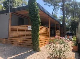 Dalere Apartman