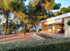 Pine tree beachfront villa, hotel in Drosia