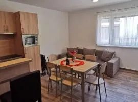 Ohana Wellness apartman