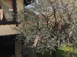 Pensiunea DARMA, Hotel in Râșnov