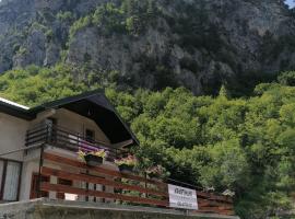 Apartmani Tara i Zabojsko Dobrilovina, hotel with parking in Mojkovac