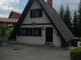 Hugo's House